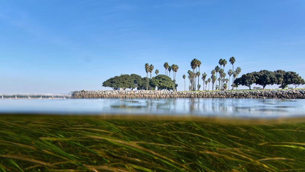 Scientists are utilizing DNA analysis to address the accelerating effects of climate change on evolution.