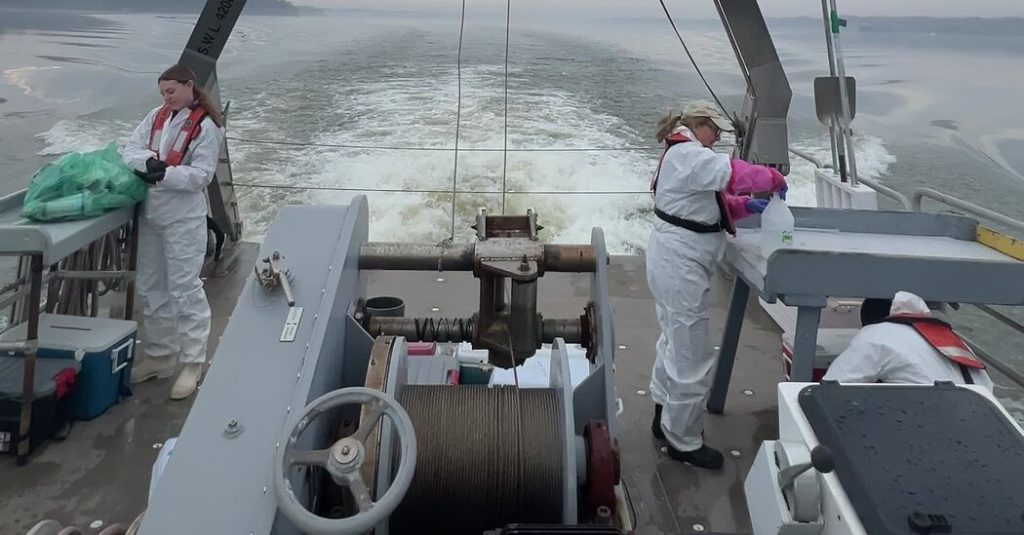 Sewage Leak Resolved, Yet Contamination Persists in Potomac River