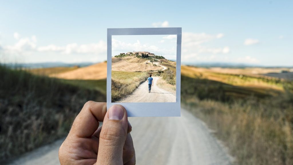 Visual neurons also assist the brain in forming new imaginative concepts.