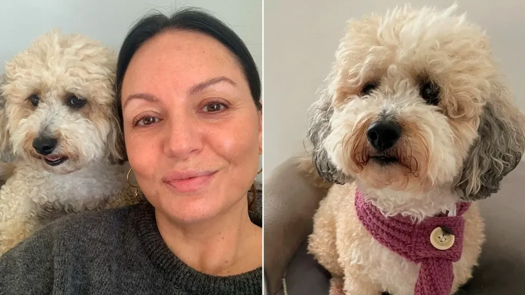 Woman's dog develops breast cancer years following her own experience with the illness
