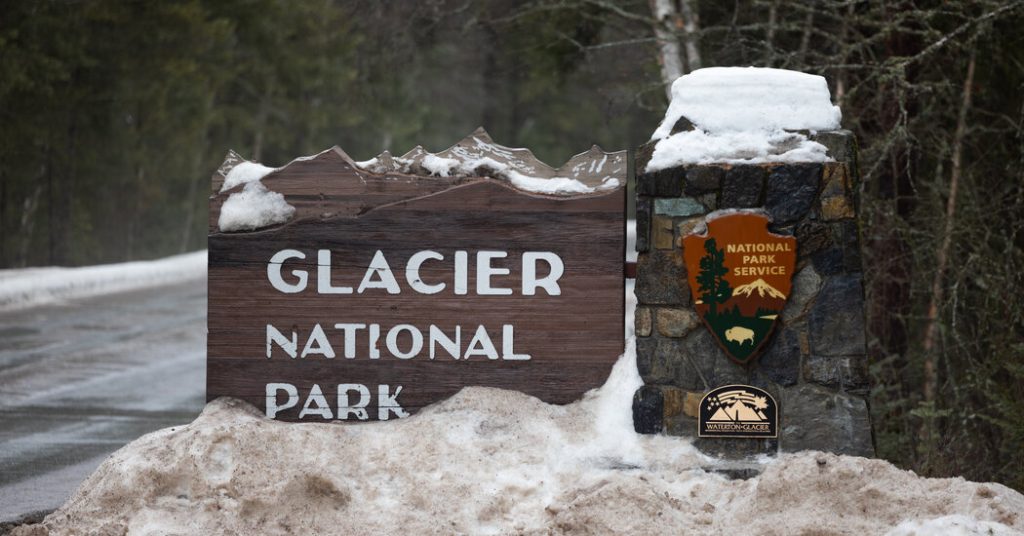 Bear Attacks and Kills Hiker in Glacier National Park, Authorities Report