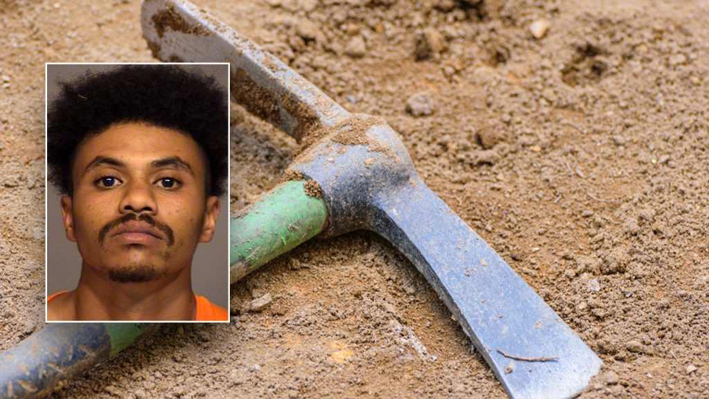 California man receives sentence for killing his disabled teenage brother with a pickaxe.