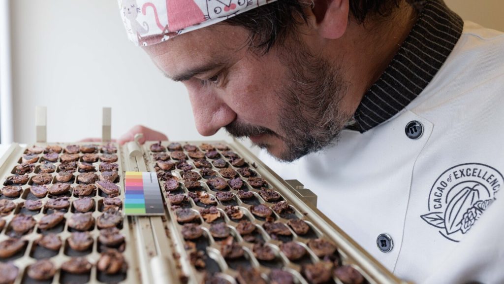 Chocolate to Adopt Quality Standards Similar to Those of Wine and Coffee