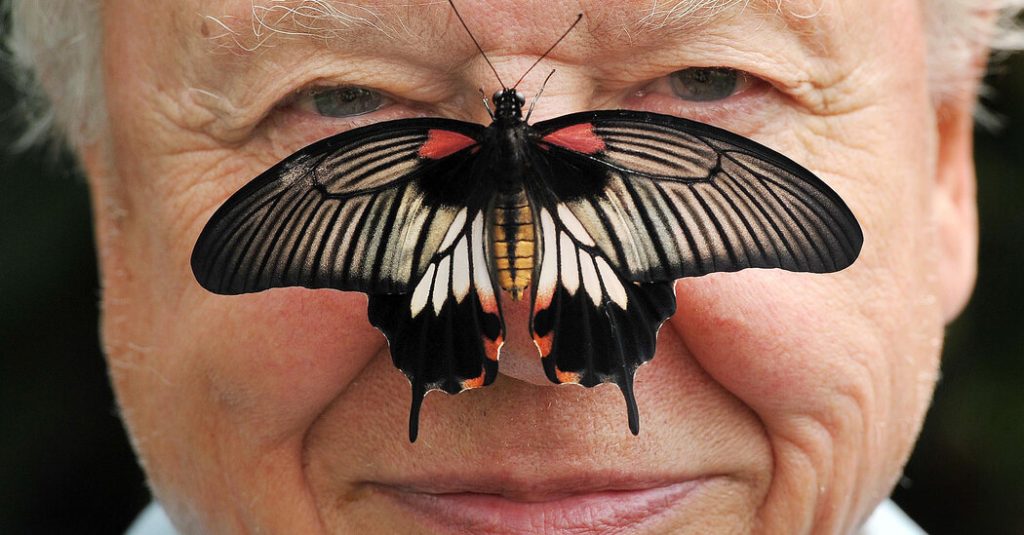 David Attenborough Celebrates His 100th Birthday as a Renowned Naturalist
