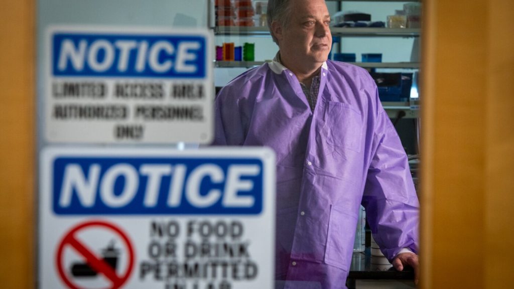 Labs claim ability to test embryos for certain characteristics; is this advisable?
