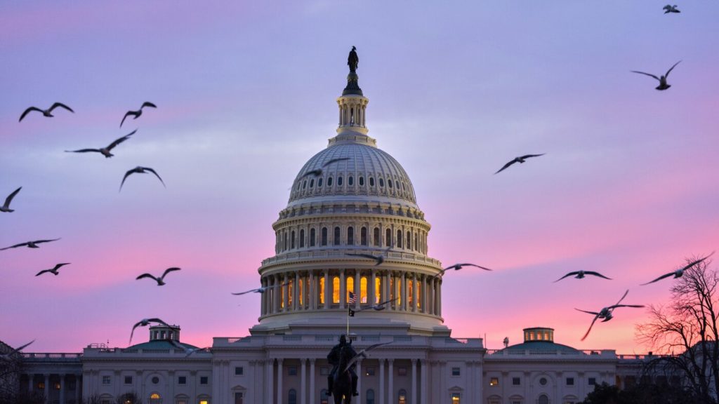Majority of Americans Favor Age Limits for Congressional Members