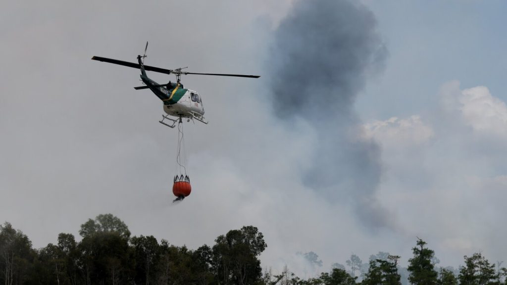 New agency established by Trump administration readies for approaching wildfire season.