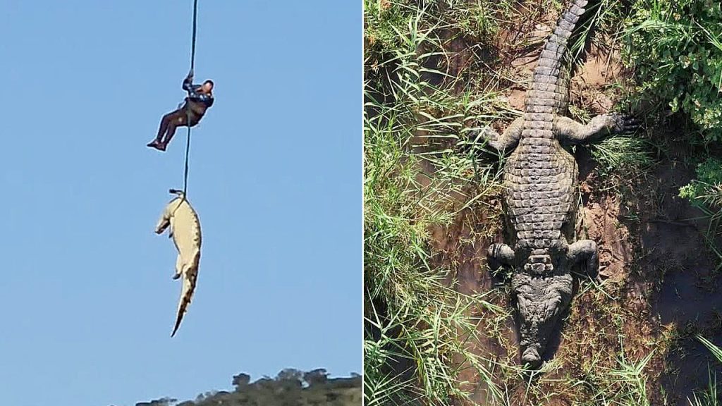 [South Africa conducts airlift of large crocodile believed to be linked to disappearance of man