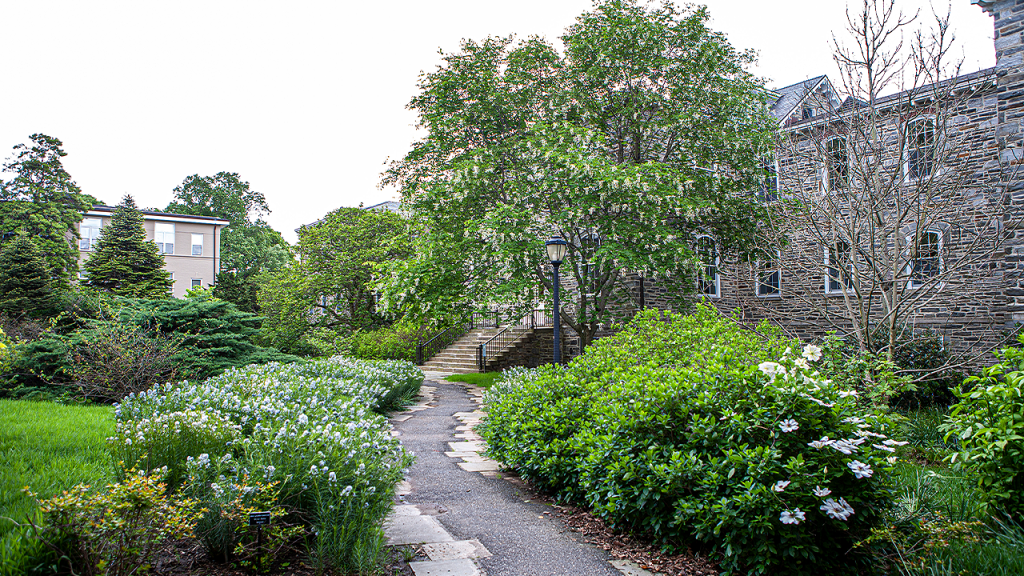 Swarthmore College disassociates from professor following controversy over burial site.
