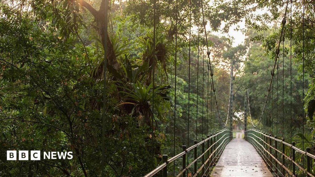 New research reveals the Earth hosts significantly more insect species than earlier estimates indicated.