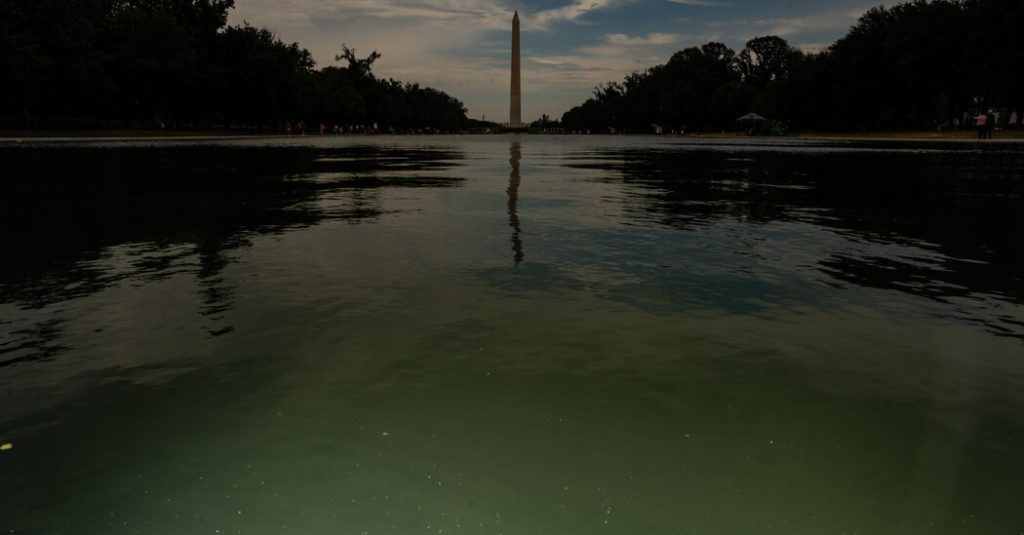 Exploring the American Connection to Algae: The Significance of Green Pond Growth