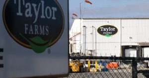 Taylor Farms Broadens Iceberg Lettuce Recall to 27 States Due to Cyclospora Concerns