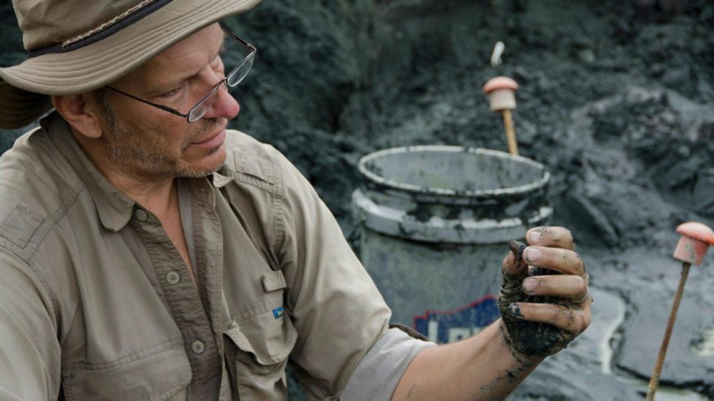 New Jersey recognized as a significant site for fossil discoveries linked to dinosaur extinction.