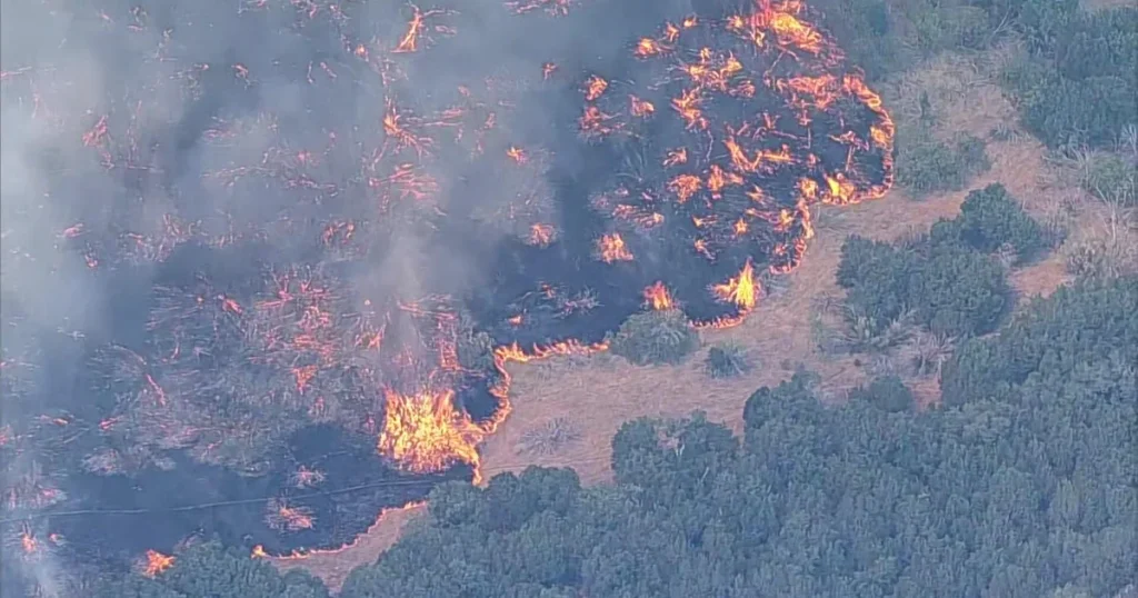 Ross Fire in North Texas surges beyond 80,000 acres, leading to evacuations and school shutdowns.